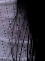 CREMA CORPO TROPICAL MIX 250ML