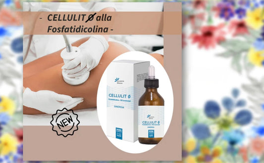 Cellulit ø alla Fosfatidilcolina con macchinario Endodermico o Radiofrequenza (1 seduta)